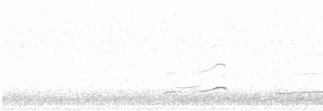 Eurasian Curlew - ML616515998