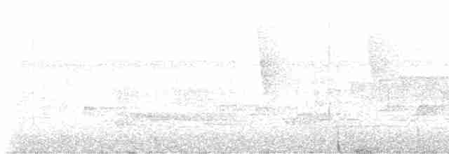 Белогрудый крапивник - ML616518667