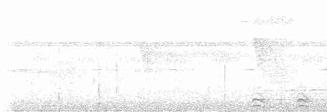 Трогон червонодзьобий - ML616518954