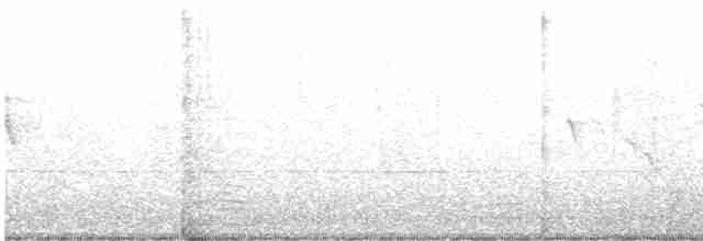 Yellow-rumped Warbler - ML616519902