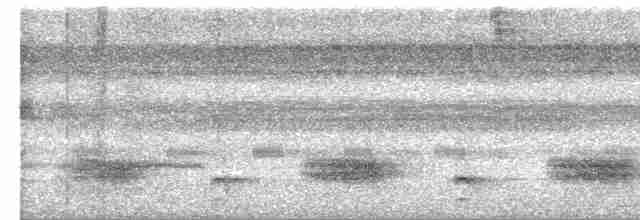 Gray Antbird - ML616520147