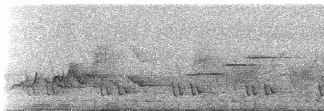 Віялохвіст сірий - ML616520427