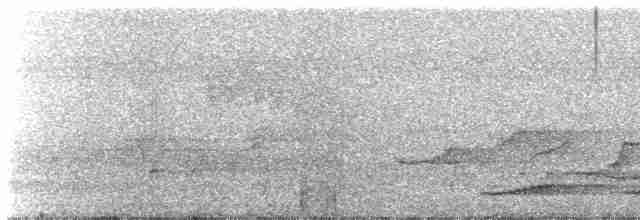 Büyük Tavus Sülünü - ML616520428