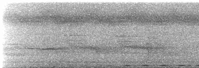 svarttopphjertespett - ML616520534