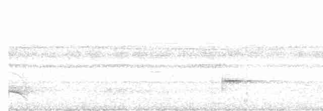 Büyük Kulaklı Çobanaldatan - ML616521264
