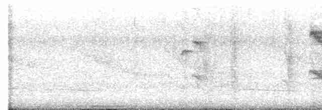 kukačka veverčí - ML616521490