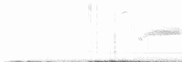 Bewick Çıtkuşu - ML616521694