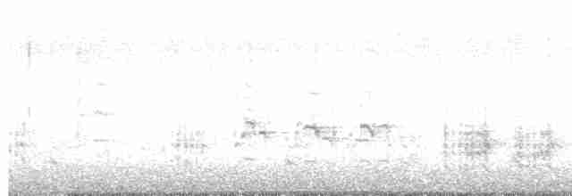 Great Reed Warbler - ML616522407
