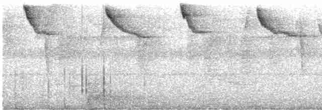 Коричневый колибри-отшельник - ML616522736