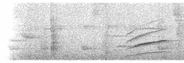 svartkroneskogtrost - ML616524006