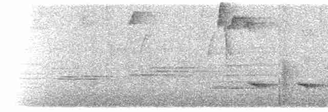 grånakkebekard - ML616524012