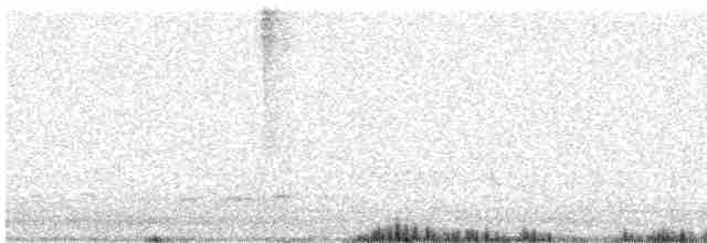 Gila Woodpecker - ML616524138