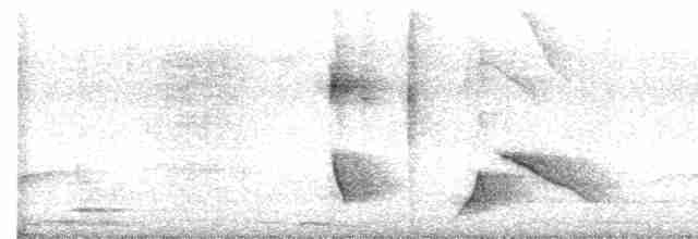 Oriole des vergers - ML616524623
