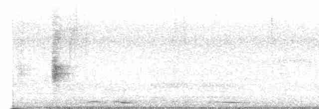 Oriole des vergers - ML616524624