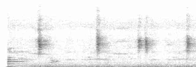 Oriole des vergers - ML616524629