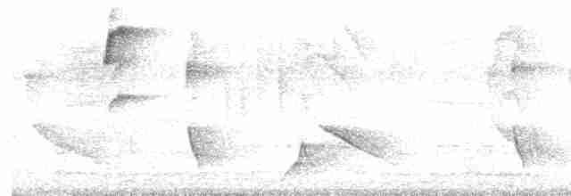 Oriole des vergers - ML616524635