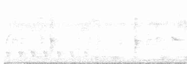 Oriole des vergers - ML616524636