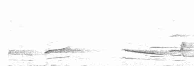 Weißbürzel-Krähenstar - ML616524764