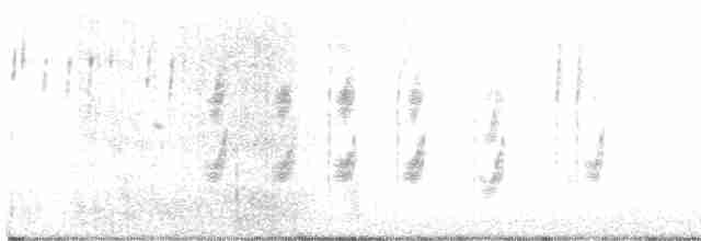 Шалфейная овсянка (belli) - ML616525118