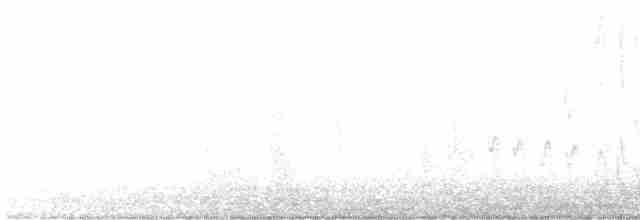 Тауї чорногорлий - ML616525409