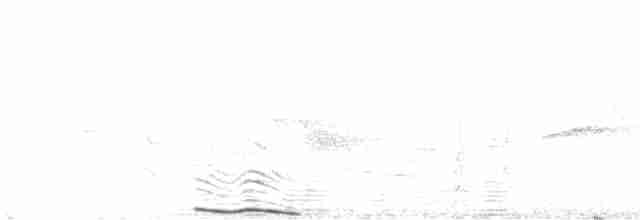 Елепайо гавайський (підвид bryani) - ML616525519