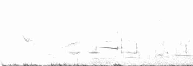 Малиновая апапане - ML616525562