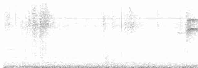 Трупіал-чернець галасливий - ML616526304