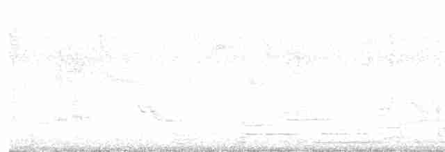 Воротничковый просяночник - ML616526335