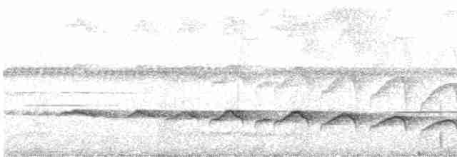 Буроклювый дугоклюв - ML616526495