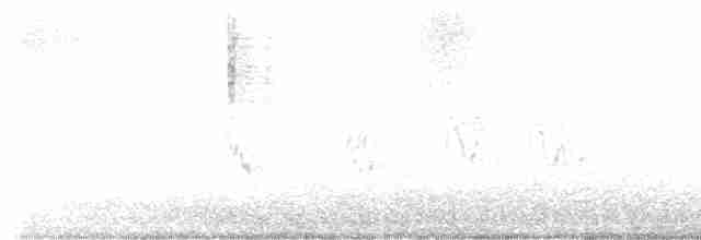 Paruline verdâtre - ML616526831