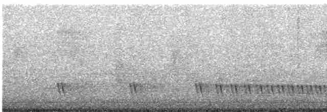 Indiennachtschwalbe - ML616527041