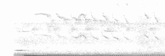 Rufous-and-white Wren - ML616527514