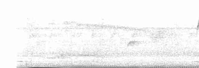 Rufous-and-white Wren - ML616527515