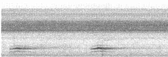 Tinamou de Bonaparte - ML616528026