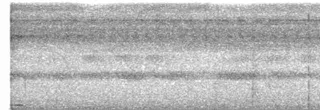 Chouette ocellée - ML616529234