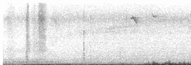 Prairie Warbler - ML616529377