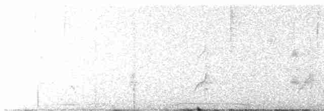 Бледногорлый миарх - ML616529757