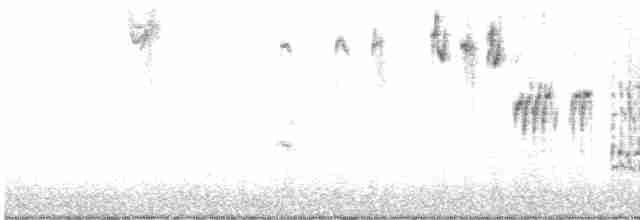 Cassin Serçesi - ML616529924
