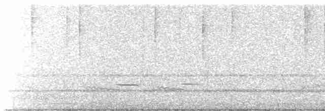 Striped Cuckoo - ML616530184