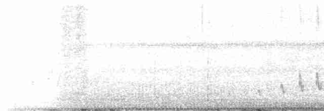 Buff-collared Nightjar - ML616530257
