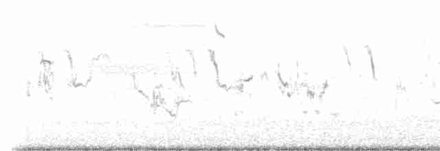 ツメナガホオジロ - ML616531251