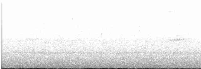 Сова-крикун - ML616531252