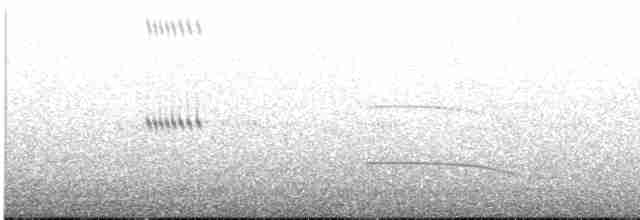 Çizgili Kulaklı Baykuş - ML616531359