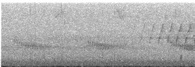 Каролинский крапивник - ML616532327