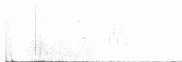 Чернозобая овсянка - ML616532545
