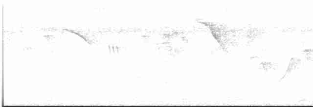 Монаршик гіацинтовий - ML616532552