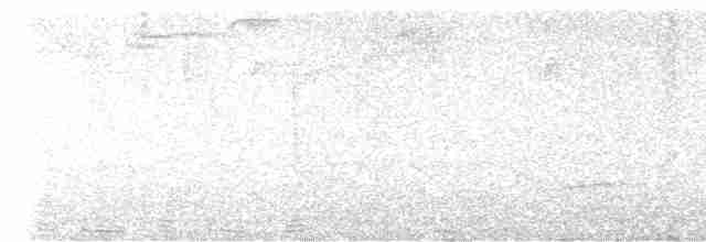 Дрізд-короткодзьоб гірський - ML616532593
