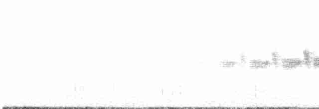 Black-throated Gray Warbler - ML616532644
