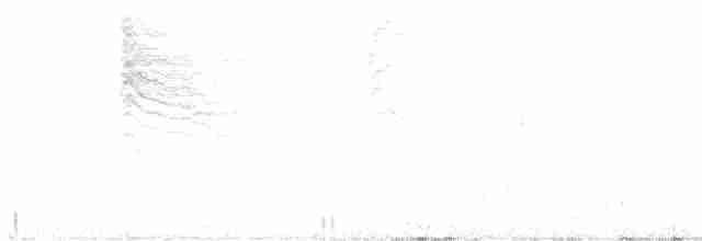 Perlita Grisilla - ML616533110
