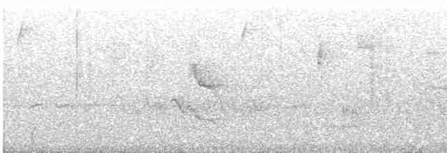 Spotted Quail-thrush - ML616533203